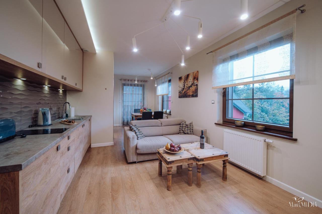 Dolina Wikingow Apartament Oye 13 Шклярска-Поремба Экстерьер фото